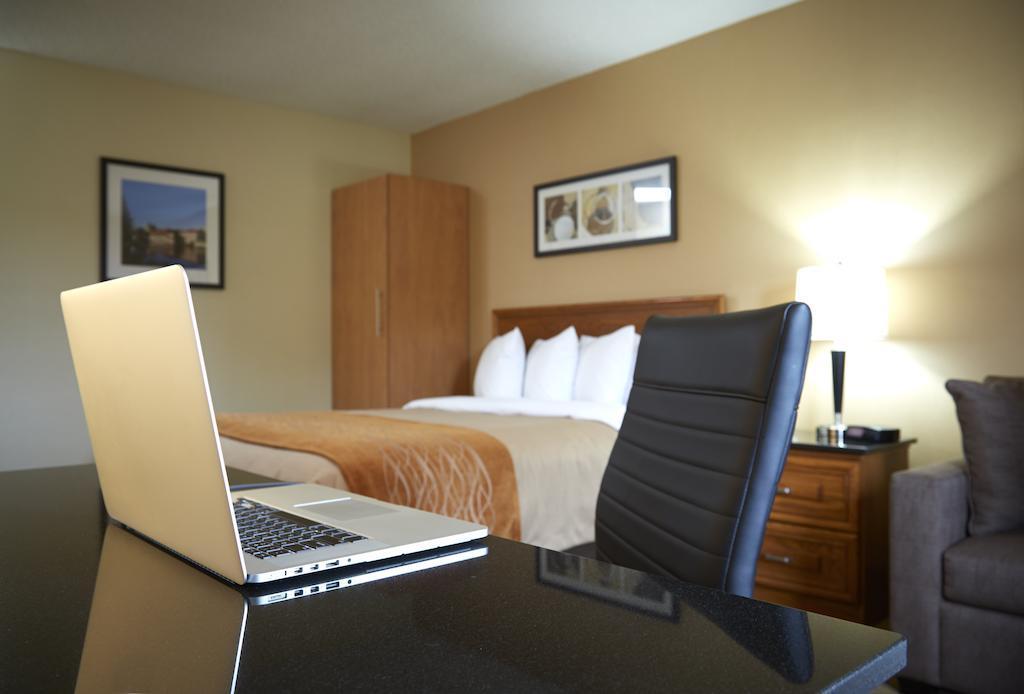 Comfort Inn Hamilton Buitenkant foto