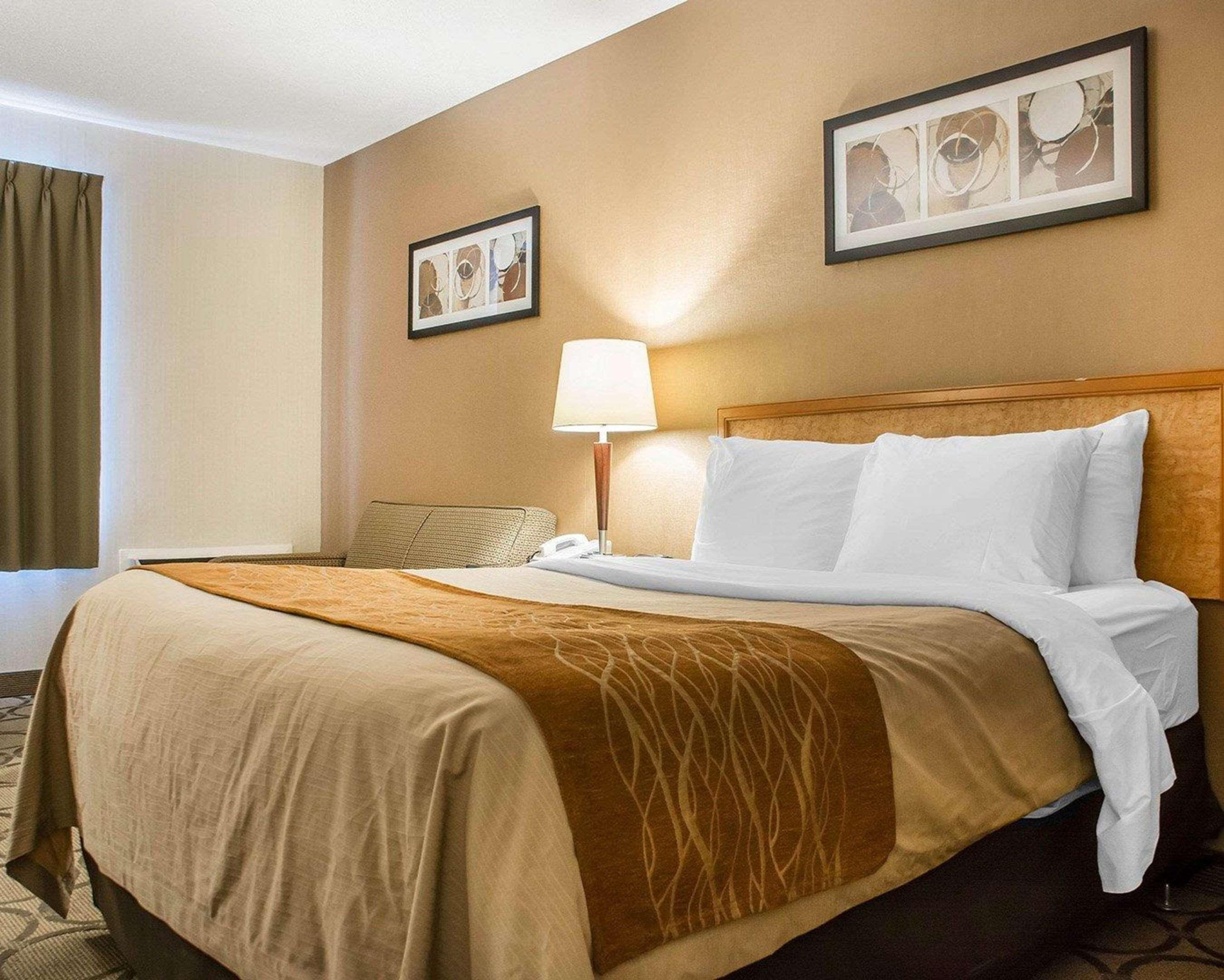Comfort Inn Hamilton Buitenkant foto